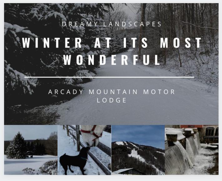 Arcady Mountain Motor Lodge Sunderland Esterno foto